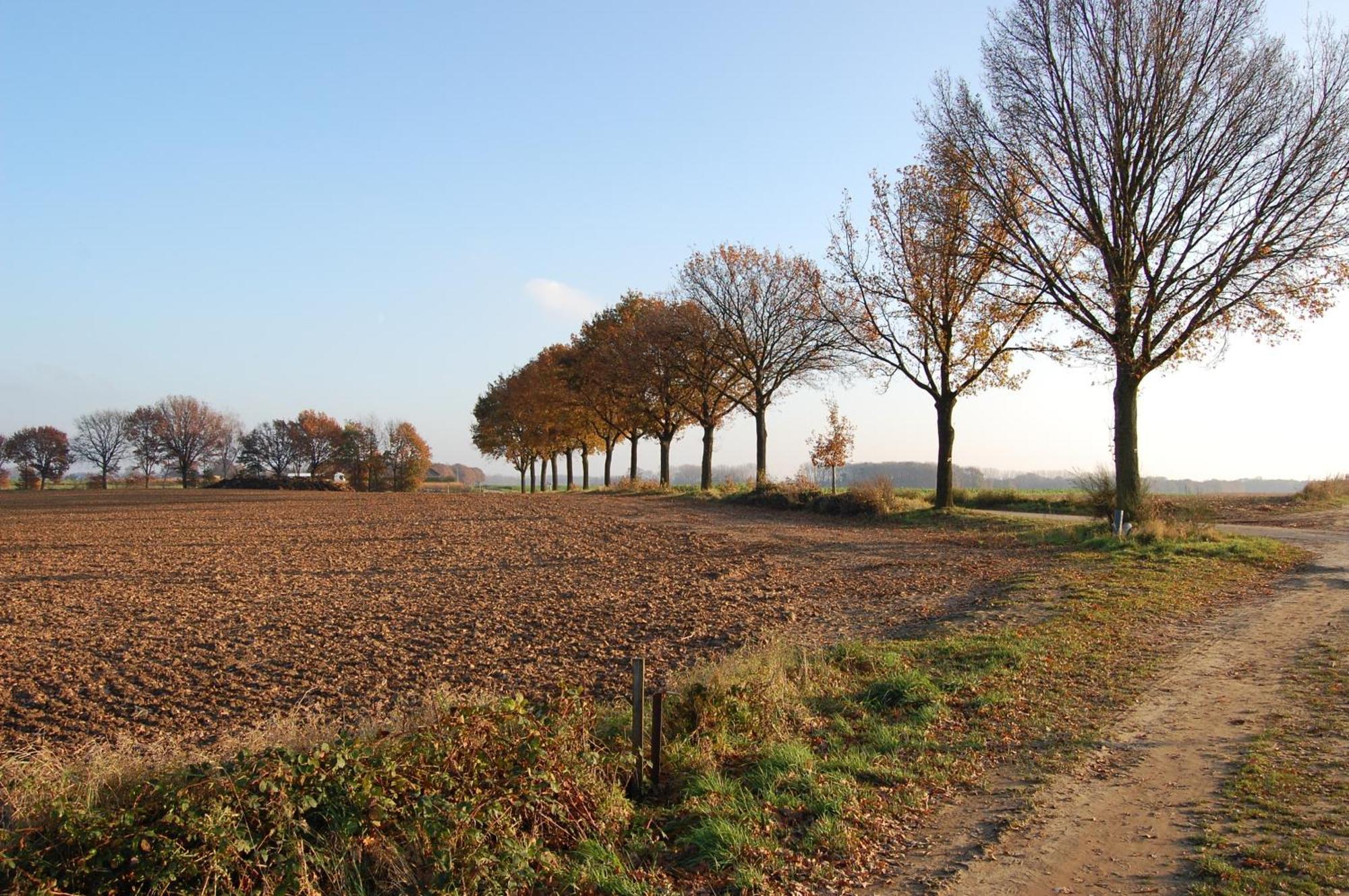 Bergopwaerts Bed & Breakfast Sint Odilienberg Exterior photo